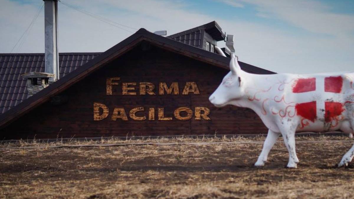 ferma dacilor