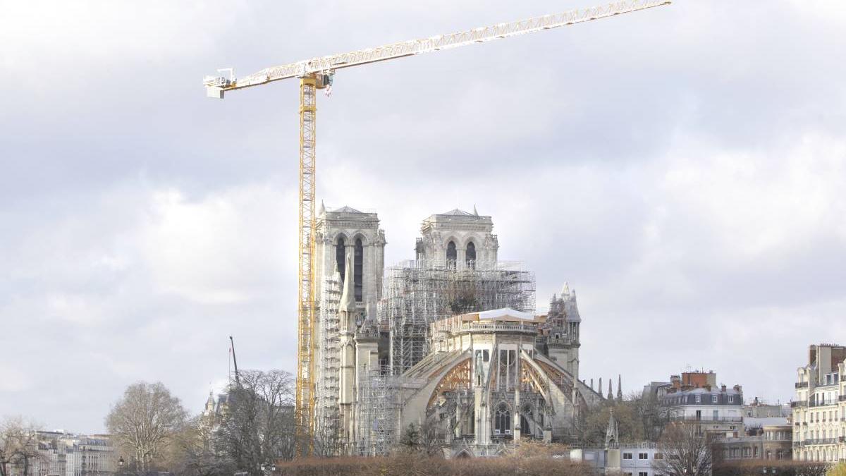 catedrala notre dame