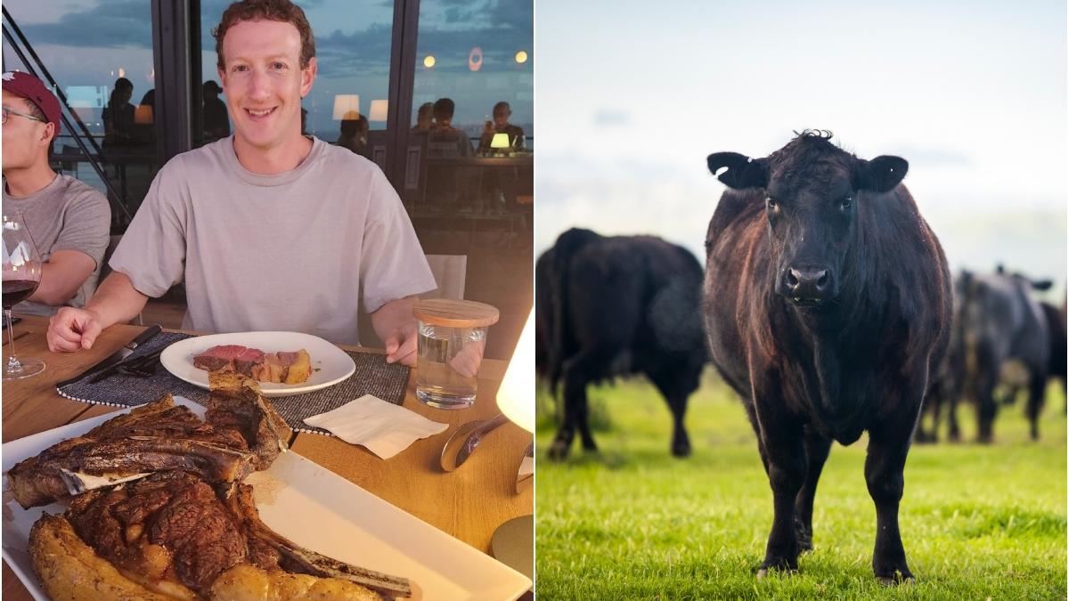 Mark Zuckerberg, fondatorul Facebook, s-a făcut fermier: "Dintre toate proiectele mele, acesta este cel mai delicios"