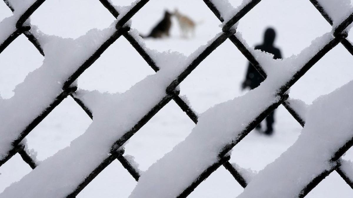 Fence