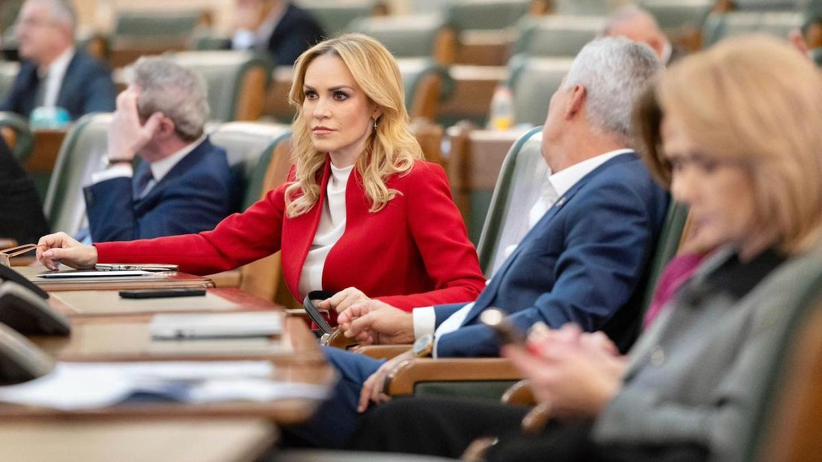 Facebook / Gabriela Firea