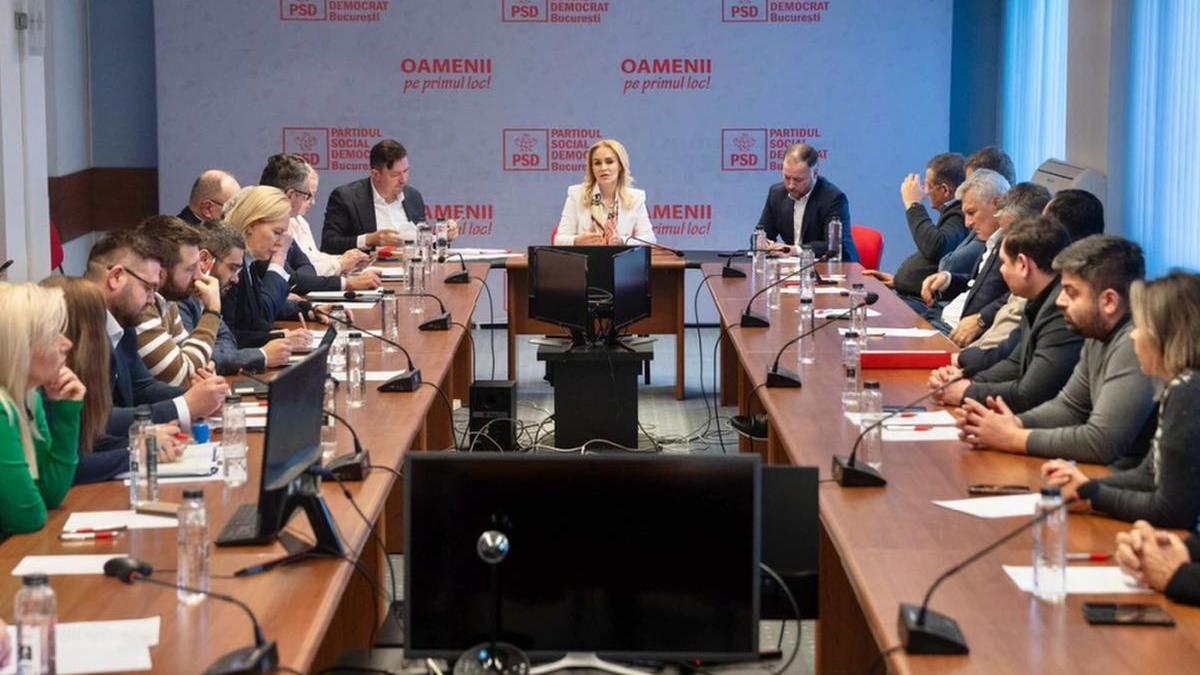 gabriela firea facebook