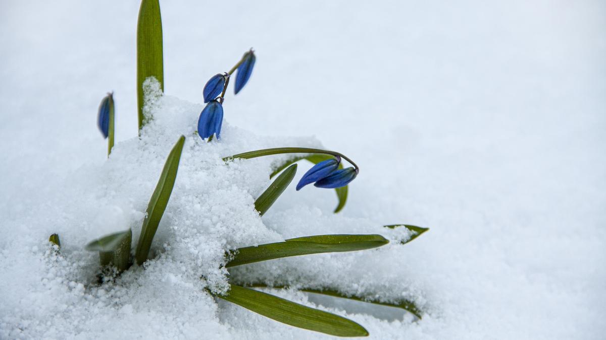 Getty Images / Igor Nagurny vremea prognoza meteo