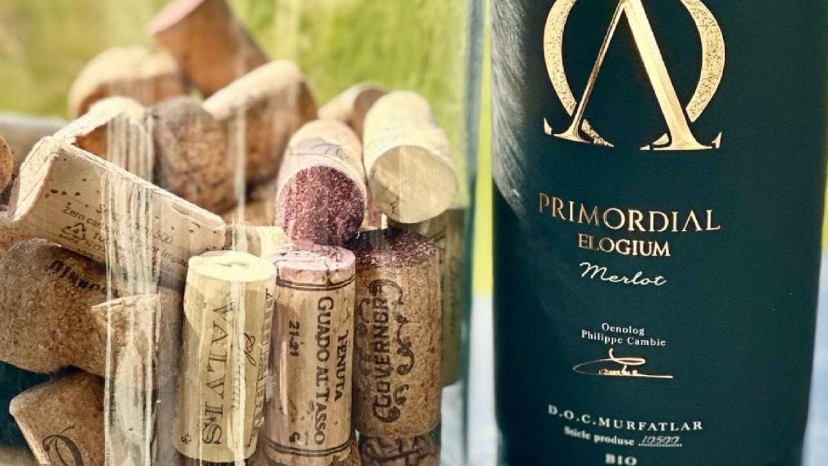 domeniul bogdan a lansat primordial elogium merlot ultimul vin la care a contribuit regretatul