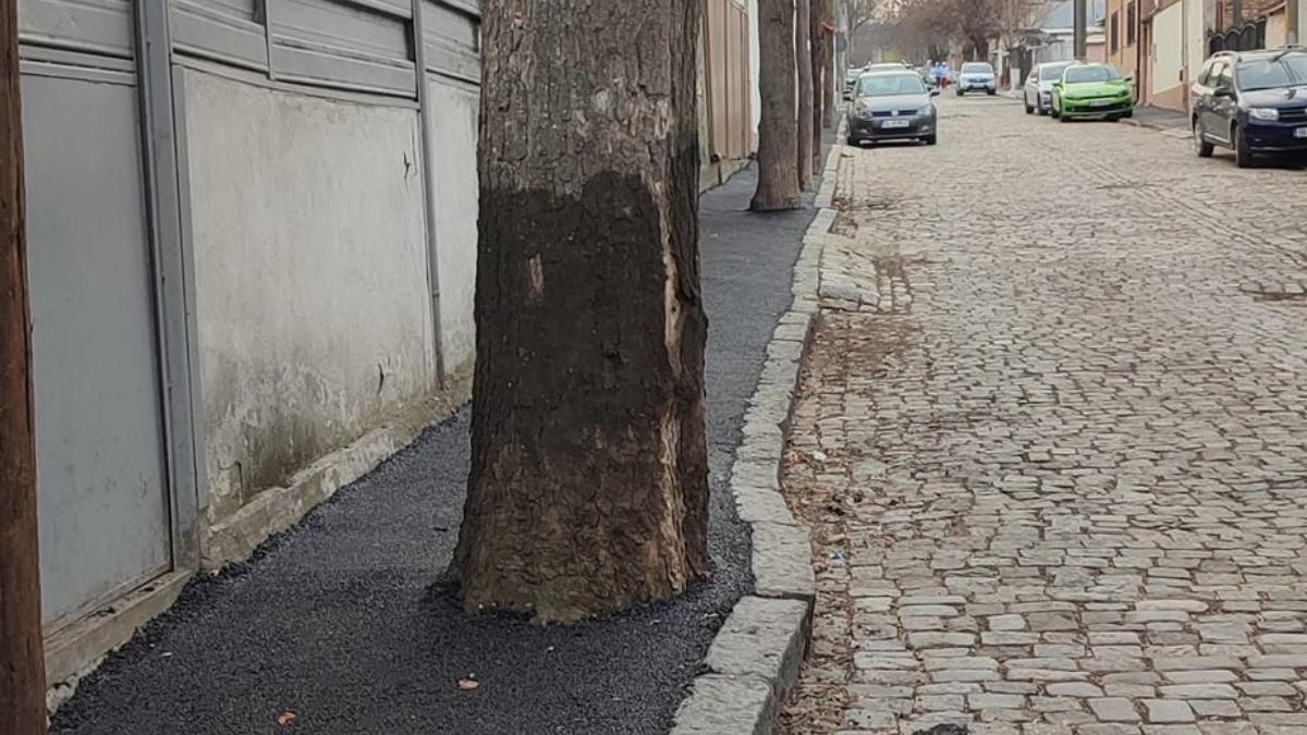 asfalt turnat copaci trotuar strada piatra cubica galati