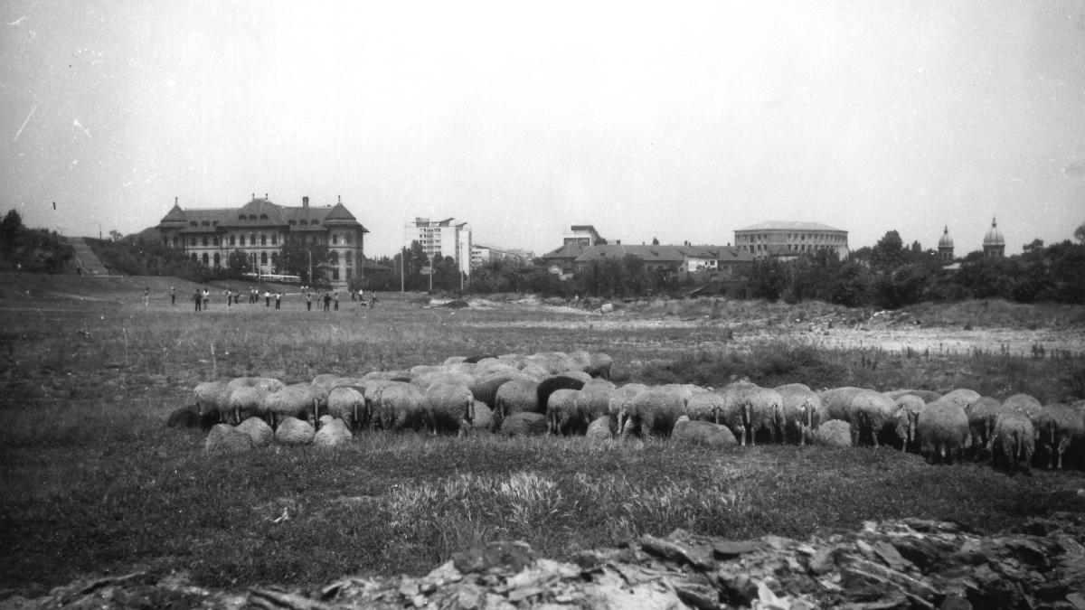 bucuresti mahala Manu Cavafu