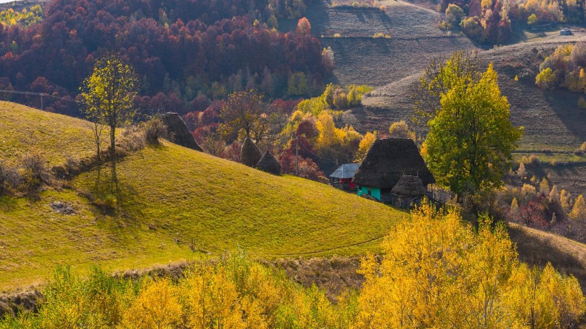 sat romania traieste om singur