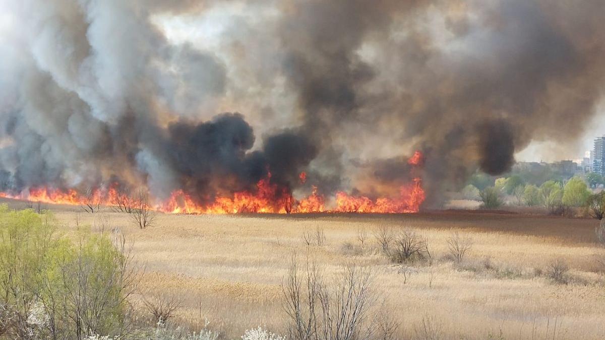 incendiu delta vacaresti