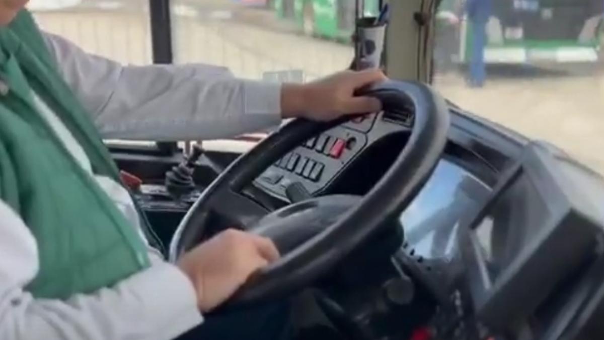 sofer autobuz