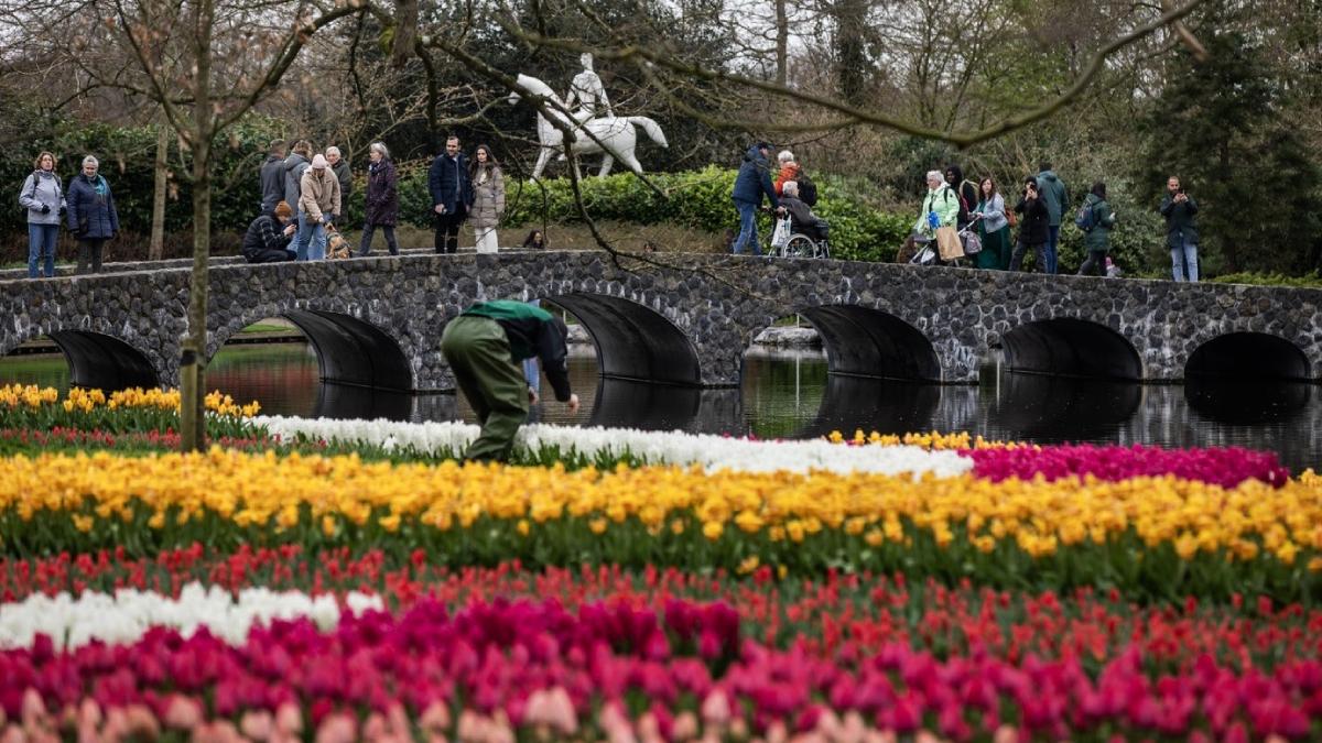 Parcul Keukenhof