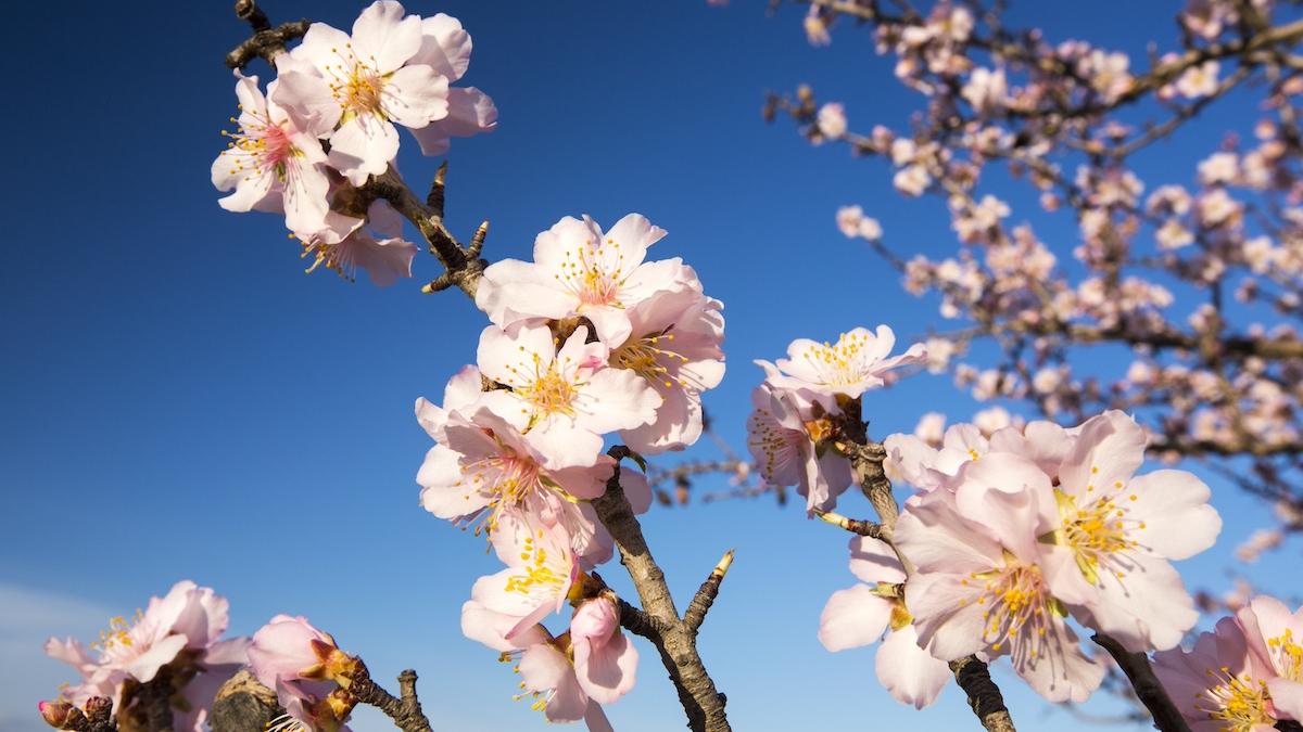 meteo Getty Images - Ashley Cooper