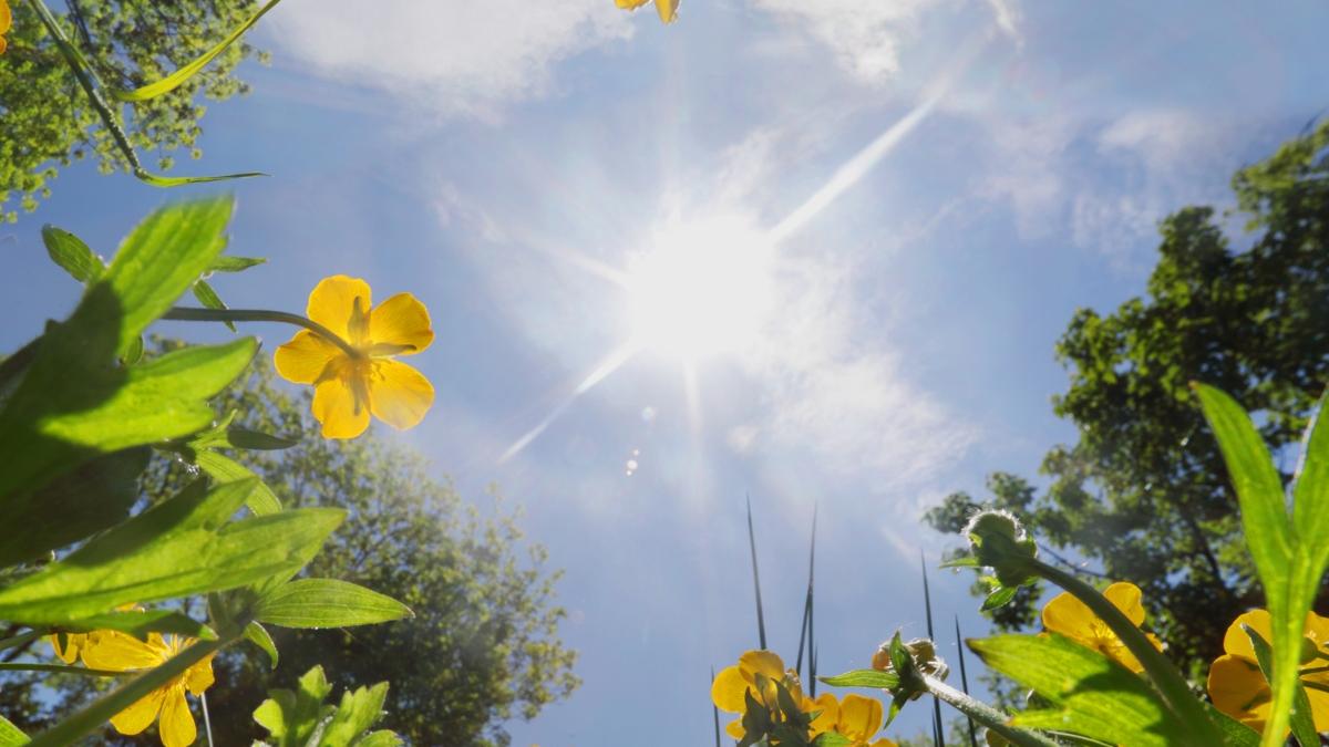 meteo getty images