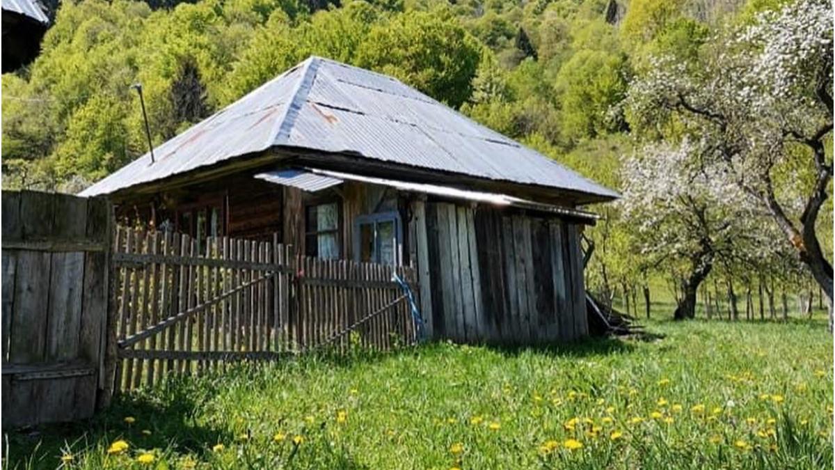 case traditionale muzeu maramures