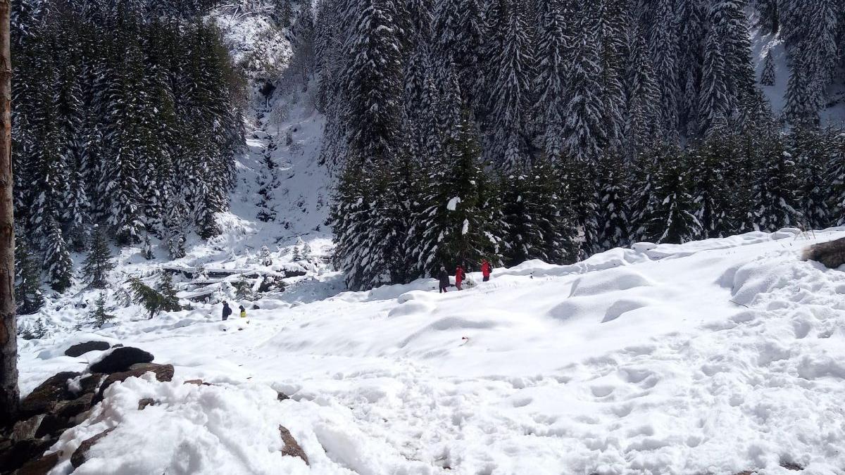 valea sambetei muntii fagaras