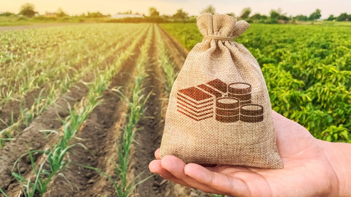 bani fermieri agricultura getty images