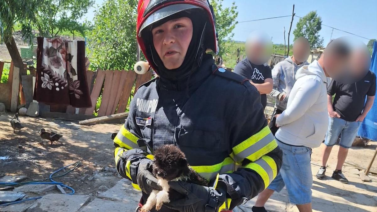 catei salvati incendiu pompieri macin tulcea