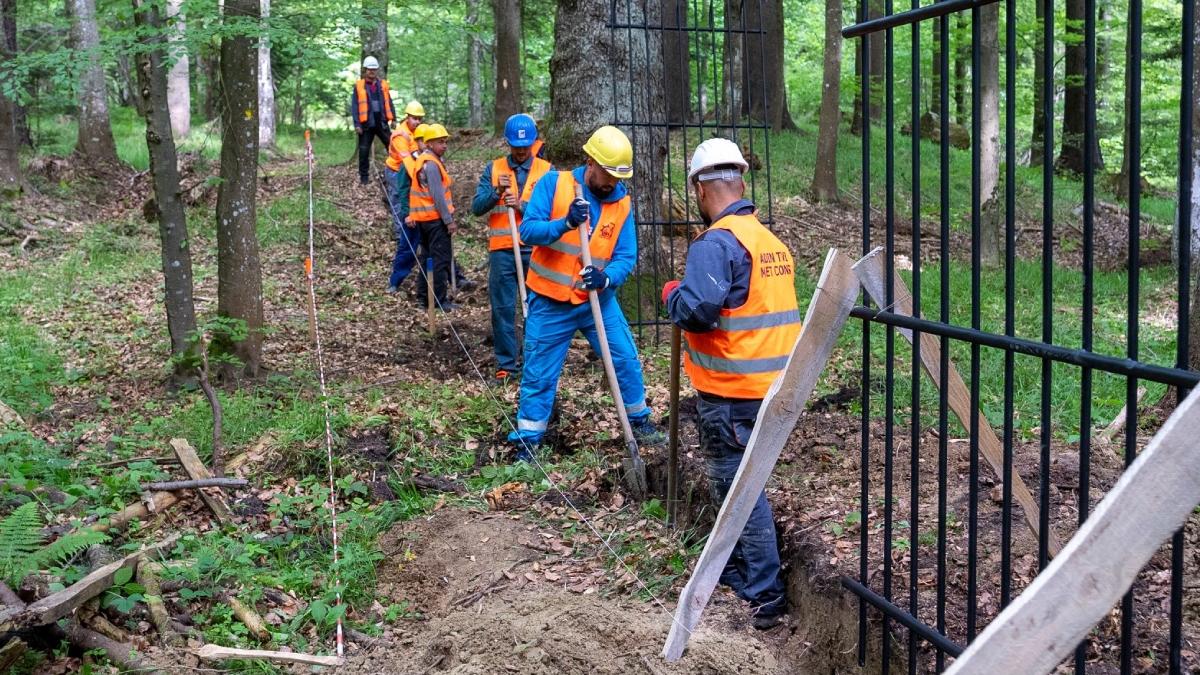 complex reabilitare protejare ursi bruni brasov