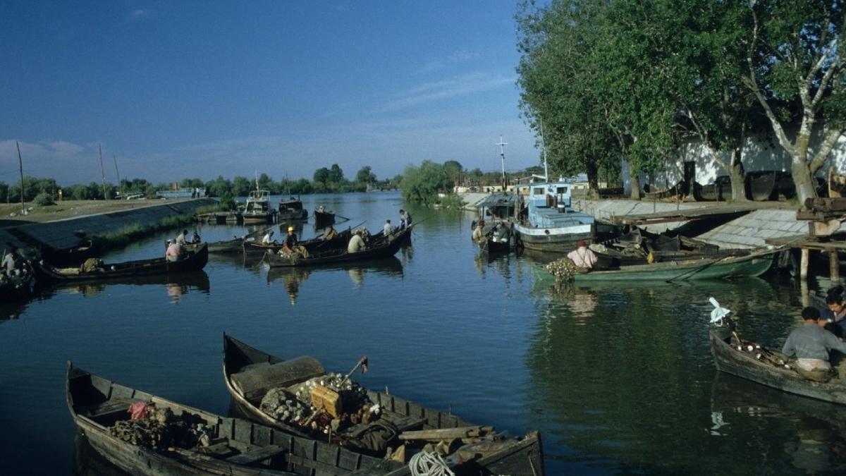 barci pescuit delta dunarii