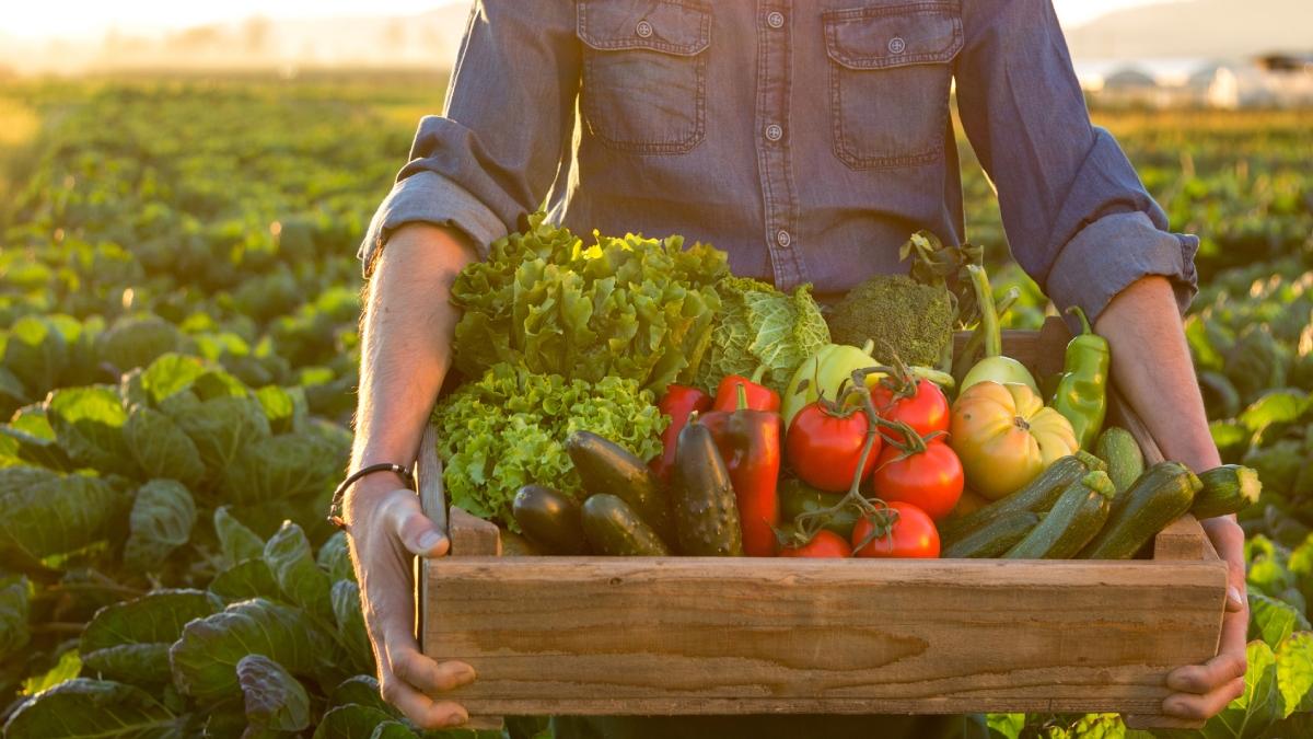 fermier legume getty images