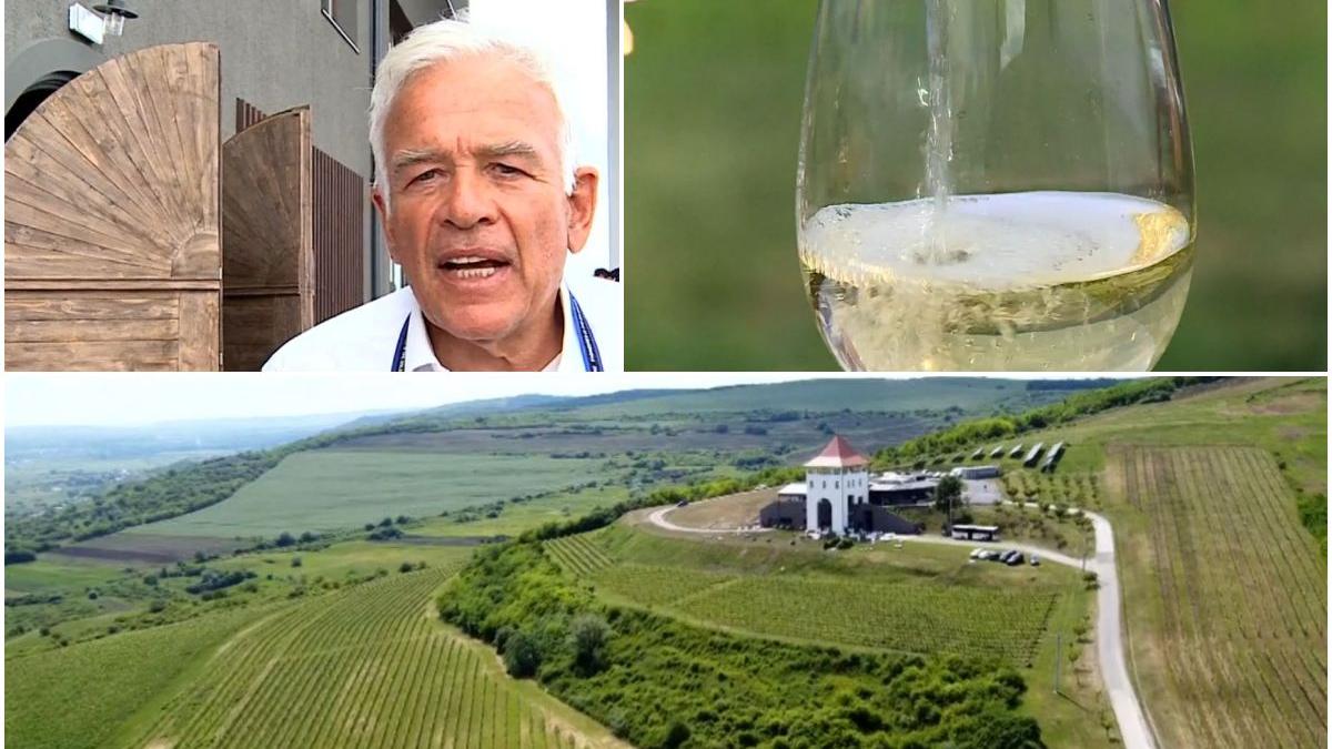 italian romania deal cumparat productie vin