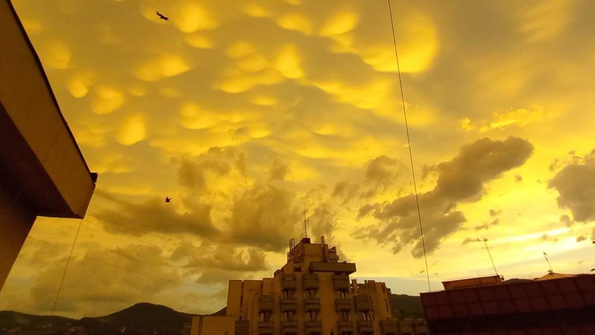 mammatus