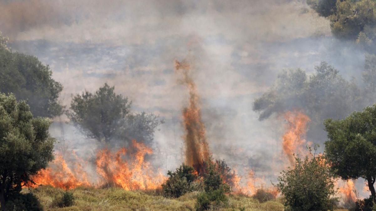 incendii brazilia profimedia images