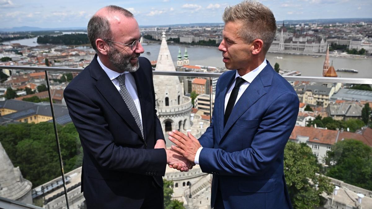 Peter Magyar ?i MAnfred Weber, la Budapesta