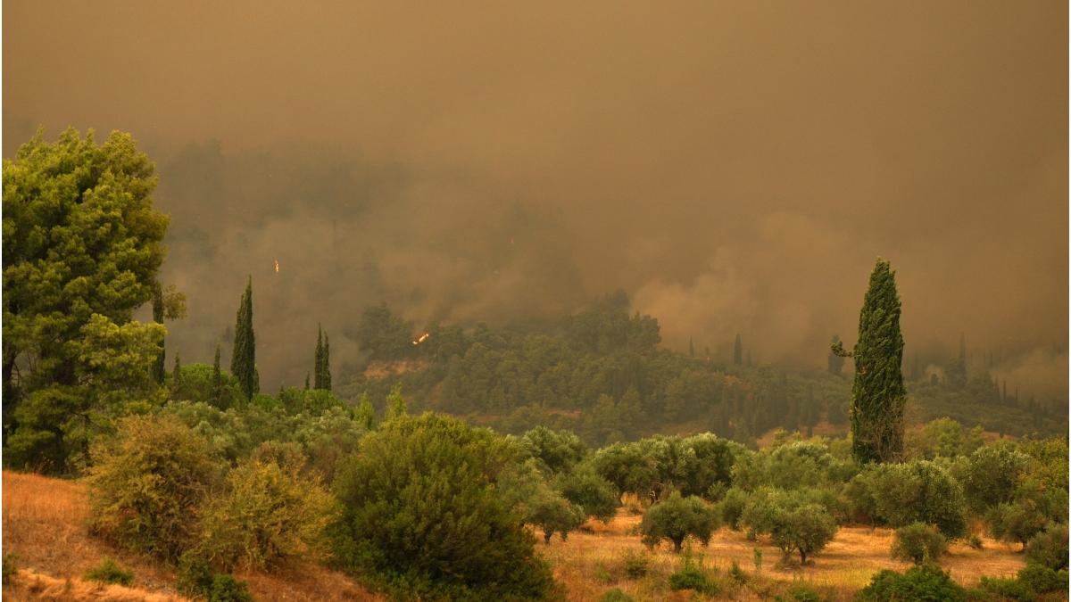 incendiu padure artificii iaht grecia