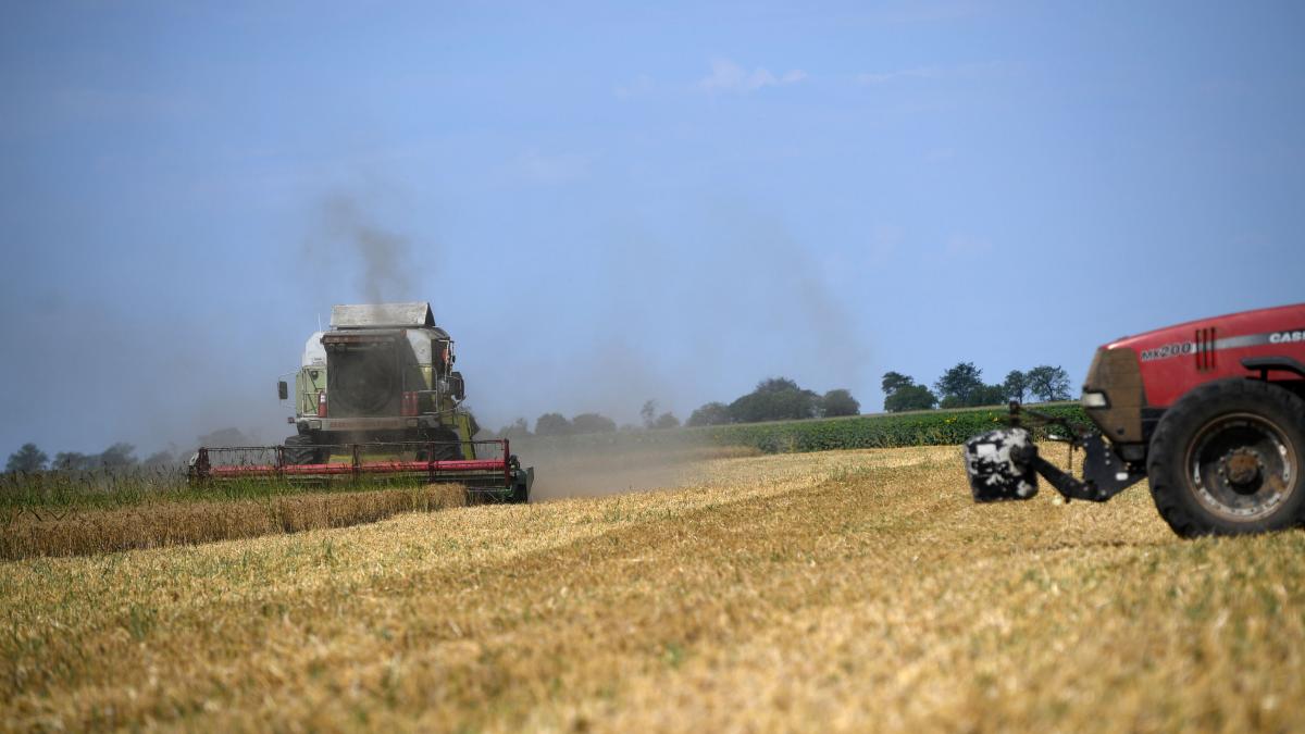 Dezastru în agricultura din România din cauza căldurii extreme. Seceta va duce la cresterea preţurilor