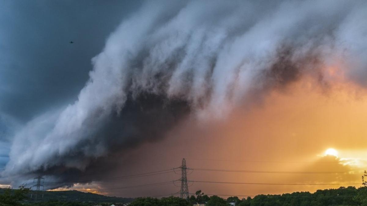 Sursa foto: Getty Images / john finney photography