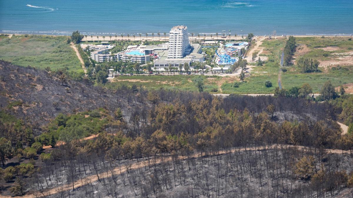 padure distrusa incendiu izmir turcia