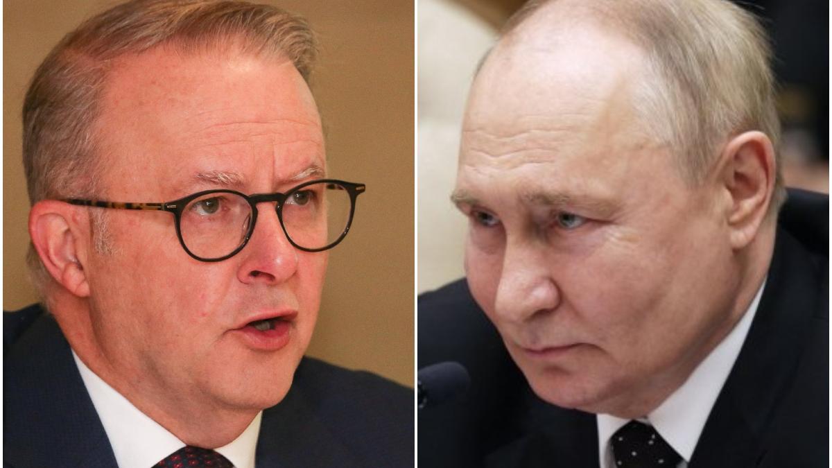 Anthony Albanese, Vladimir Putin