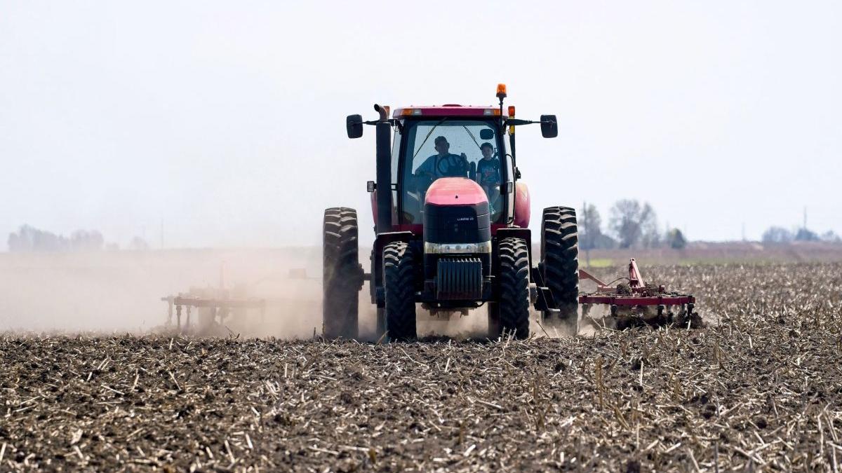 Fermierii afectați de secetă vor fi despăgubiți. Ministrul Agriculturii a anunțat când se vor face plățile