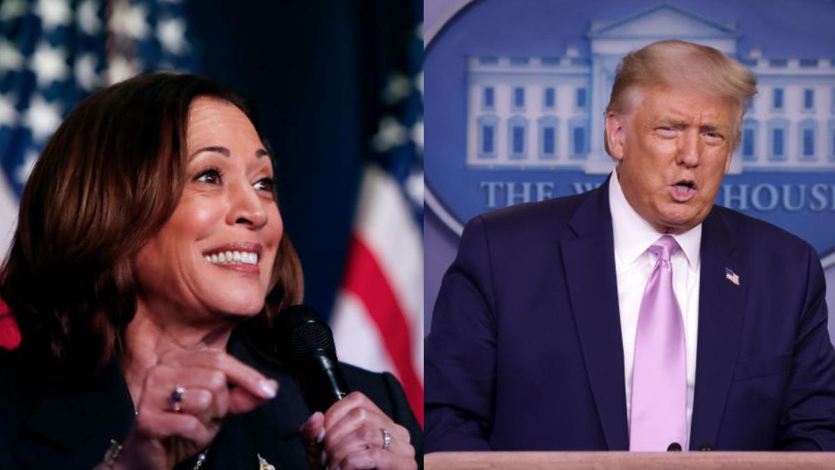 kamala harris donald trump