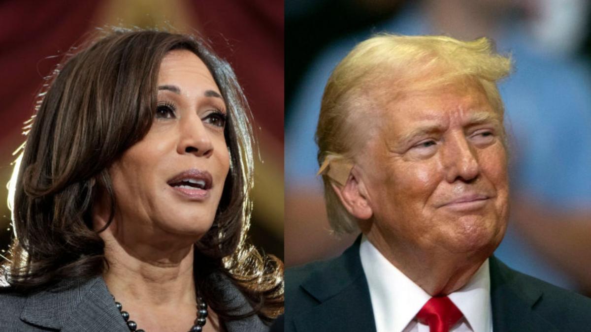 colaj kamala harris si donald trump