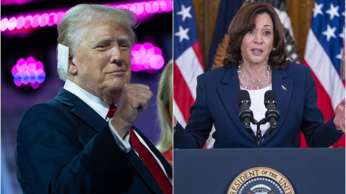 Trump Kamala Abaca Zuma