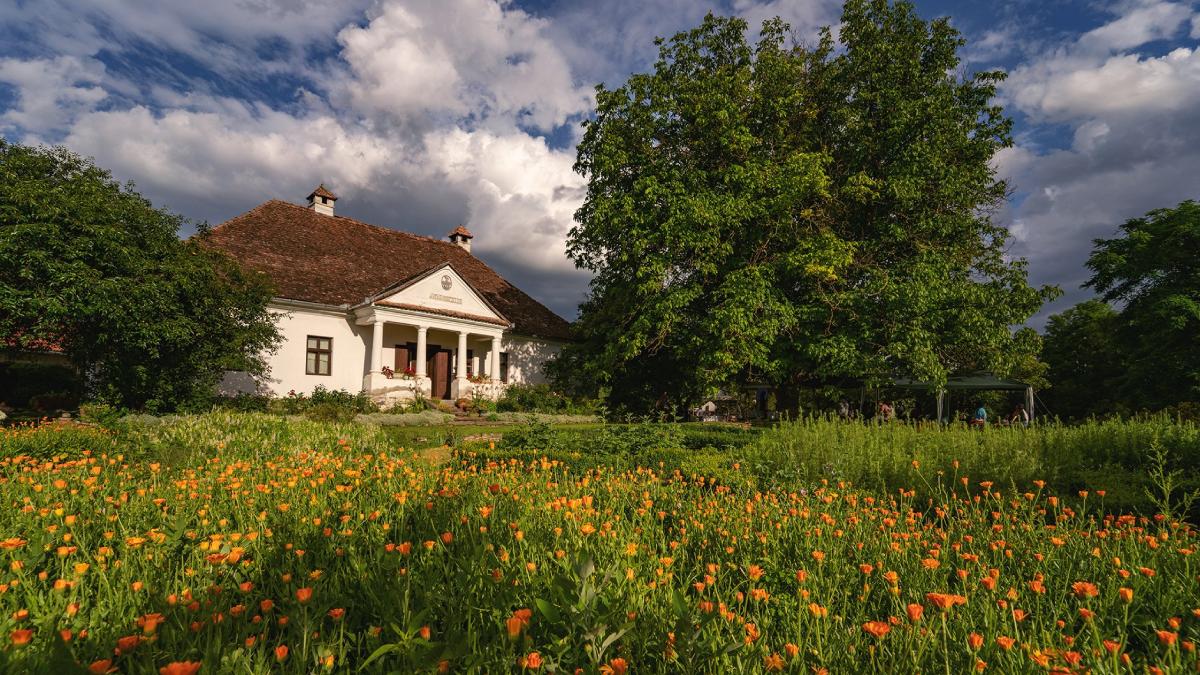 gradina cu mirodenii conacul csiki avramesti