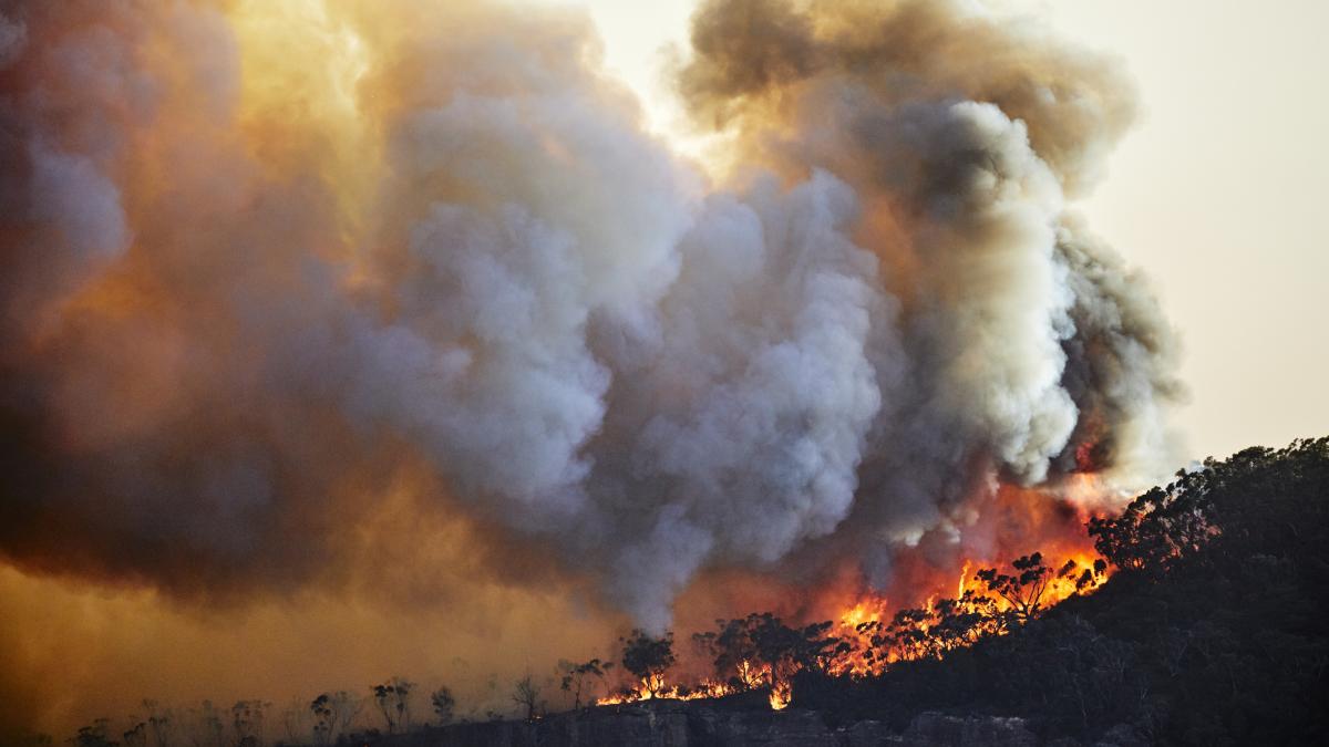 degajari fum incendiu vegetatie