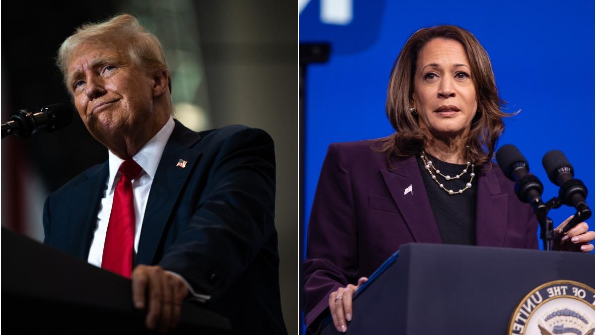 donald trump kamala harris