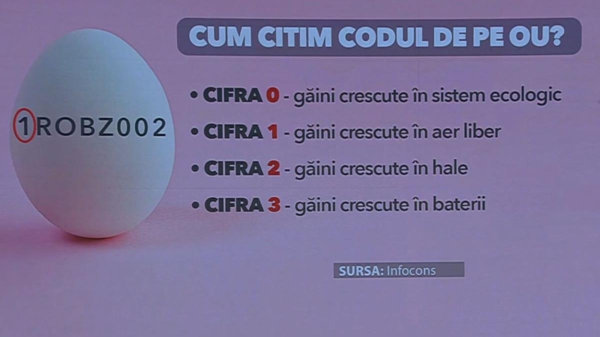 Cum citim corect eticheta de pe ouă. Ce înseamnă literele şi cifrele