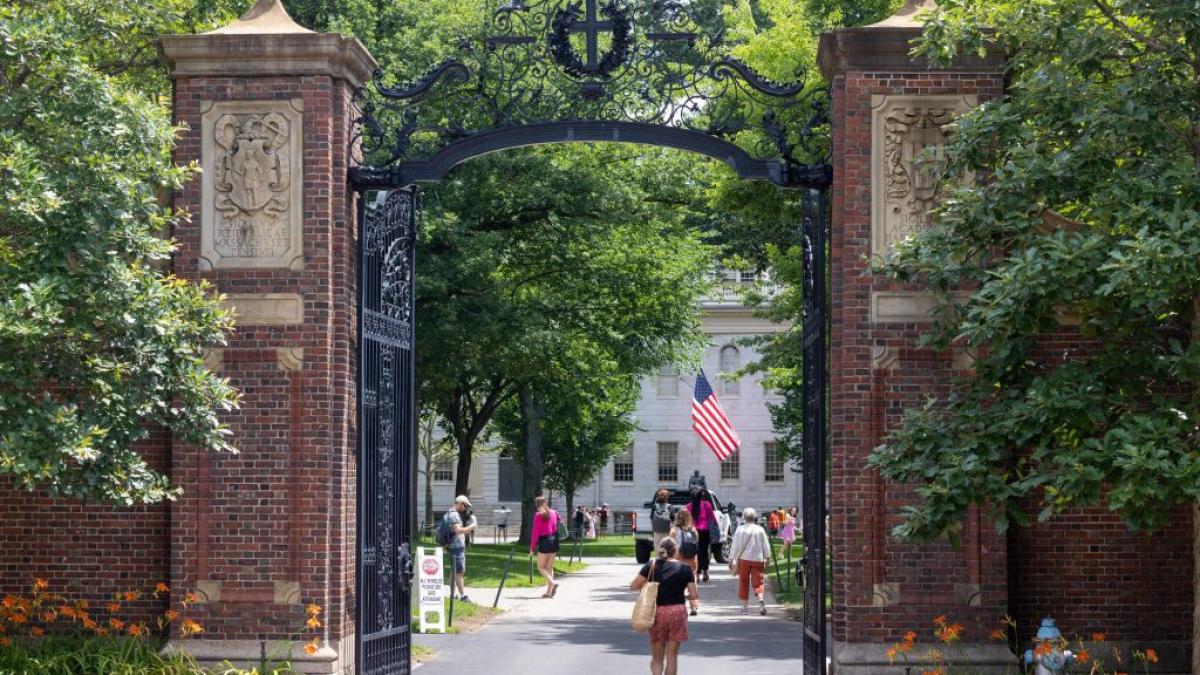 universitatea harvard sua