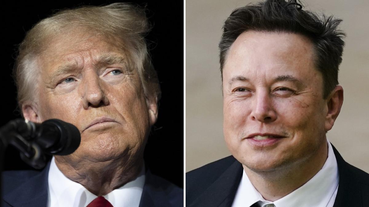 donald trump elon musk profimedia