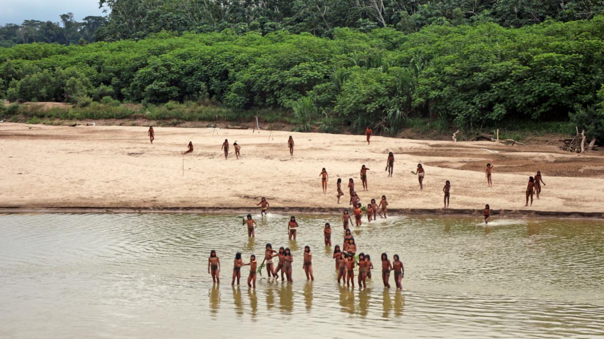 trib indigen mashco piro amazon peru