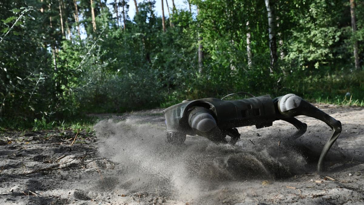 Ce vede un câine robot, noua armă a ucrainenilor în războiul cu Rusia