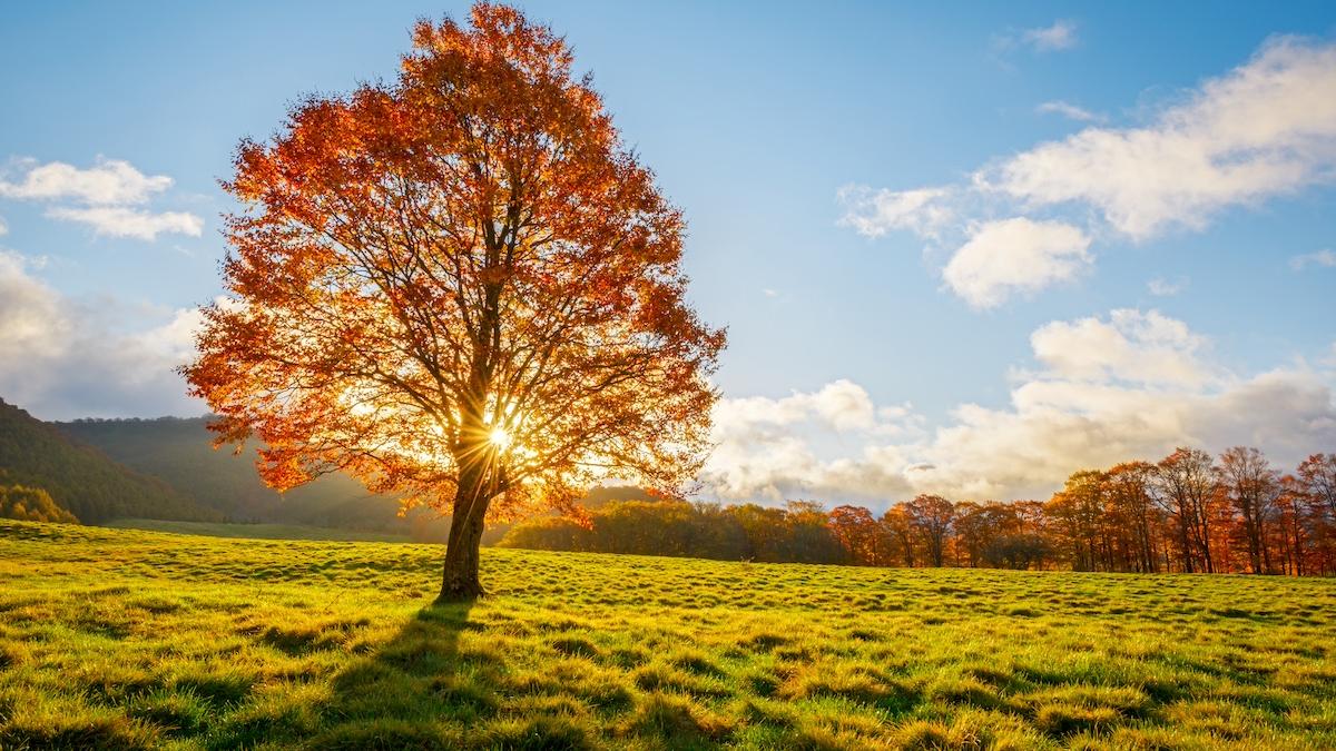 prognoza meteo toamna getty images