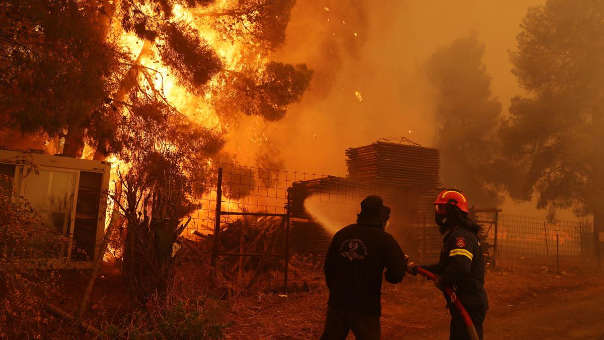 incendii in grecia