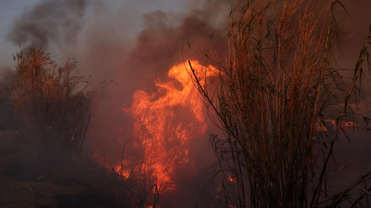 incendii in grecia