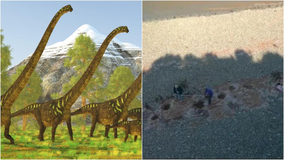 sauropode