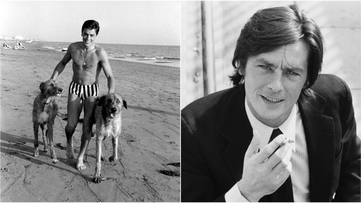 colaj foto alain delon si cainii sai