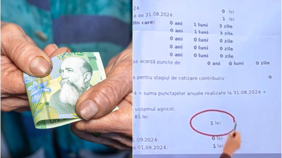 bancnota 1 leu decizie recalculare pensie